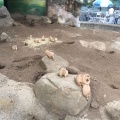 実際訪問したユーザーが直接撮影して投稿した北葛西動物園江戸川区自然動物園の写真