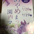 実際訪問したユーザーが直接撮影して投稿したあやめ庭園水郷潮来あやめ園の写真