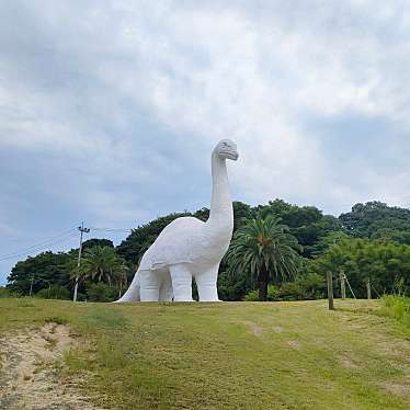 実際訪問したユーザーが直接撮影して投稿した因島大浜町公園因島アメニティ公園の写真