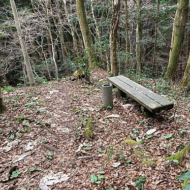 実際訪問したユーザーが直接撮影して投稿した公園治山の森の写真