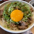 牛丼 - 実際訪問したユーザーが直接撮影して投稿した吉田牛丼すき家 和歌山吉田店の写真のメニュー情報