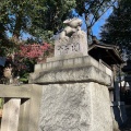 実際訪問したユーザーが直接撮影して投稿した岸町神社調神社の写真