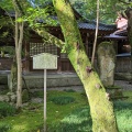 実際訪問したユーザーが直接撮影して投稿した尾山町庭園尾山神社庭園の写真