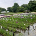 実際訪問したユーザーが直接撮影して投稿した下溝公園神奈川県立 相模原公園の写真