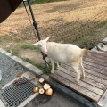 実際訪問したユーザーが直接撮影して投稿した藤山町カフェFruitelier 中村果樹園の写真