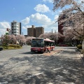 実際訪問したユーザーが直接撮影して投稿した東文化財旧国立駅舎の写真