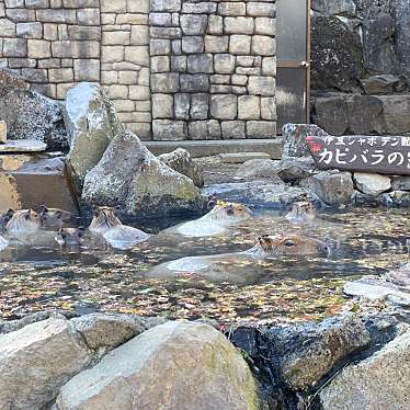 伊豆シャボテン動物公園のundefinedに実際訪問訪問したユーザーunknownさんが新しく投稿した新着口コミの写真