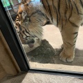 実際訪問したユーザーが直接撮影して投稿した鶴丘動物園釧路市丹頂鶴自然公園の写真