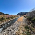 実際訪問したユーザーが直接撮影して投稿した河川河津川の写真