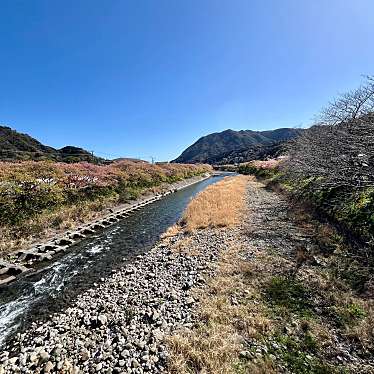 実際訪問したユーザーが直接撮影して投稿した河川河津川の写真