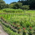 実際訪問したユーザーが直接撮影して投稿した瀬川公園日光だいや川公園の写真