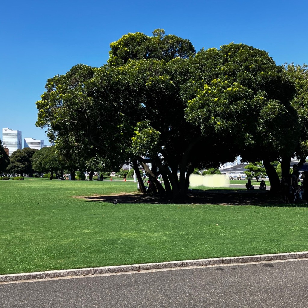 実際訪問したユーザーが直接撮影して投稿した山下町広場山下公園 広場の写真