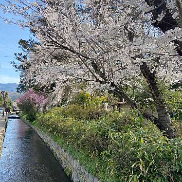 象山公園のundefinedに実際訪問訪問したユーザーunknownさんが新しく投稿した新着口コミの写真