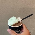 D ビターショコラ - 実際訪問したユーザーが直接撮影して投稿した片瀬海岸アイスクリームROCKREEM gelatoの写真のメニュー情報