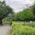 実際訪問したユーザーが直接撮影して投稿した畔吉公園上尾丸山公園の写真