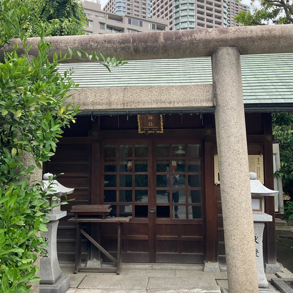 スピスピスピカさんが投稿した佃神社のお店龍神社の写真