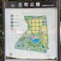 実際訪問したユーザーが直接撮影して投稿した反町公園反町公園の写真