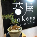 実際訪問したユーザーが直接撮影して投稿した高久丙陶芸 / クラフト小さな緑のインテリア 苔屋の写真
