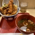 海老一本丼 - 実際訪問したユーザーが直接撮影して投稿した天神橋丼ものえびのや 南森町店の写真のメニュー情報