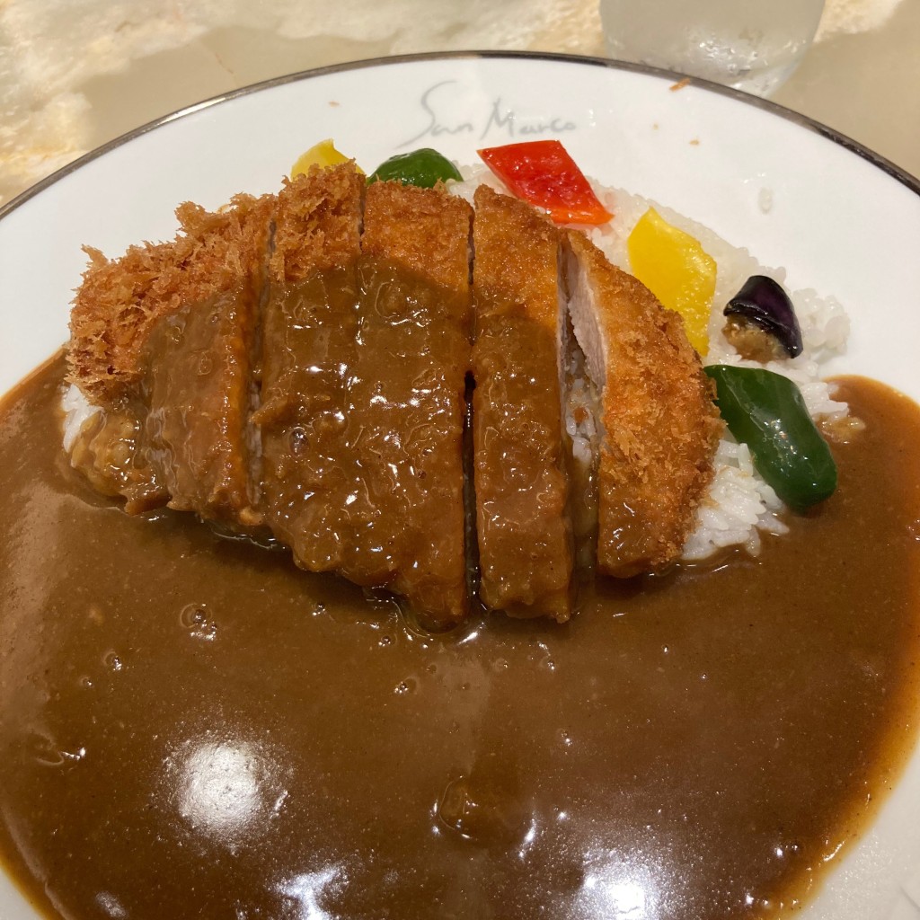 ユーザーが投稿したカツカレーの写真 - 実際訪問したユーザーが直接撮影して投稿した友田町カレーサンマルコ 近鉄和歌山店の写真