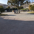 実際訪問したユーザーが直接撮影して投稿した公園岡野公園の写真