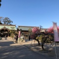 実際訪問したユーザーが直接撮影して投稿した藤方神社結城神社の写真