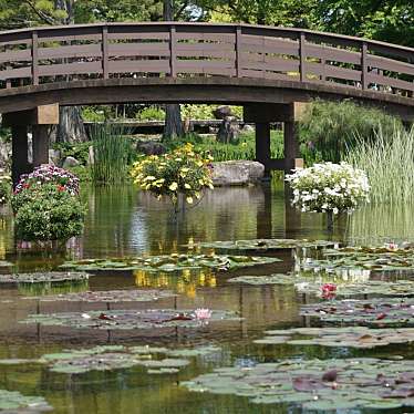 草津市立 水生植物公園みずの森のundefinedに実際訪問訪問したユーザーunknownさんが新しく投稿した新着口コミの写真