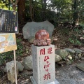 実際訪問したユーザーが直接撮影して投稿した高尾町山 / 峠高尾山の写真