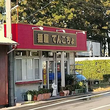 実際訪問したユーザーが直接撮影して投稿した田尻ラーメン専門店麺屋 てんこちょの写真