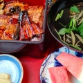 うなぎ丼 - 実際訪問したユーザーが直接撮影して投稿した若葉町魚介 / 海鮮料理とっとんめの写真のメニュー情報