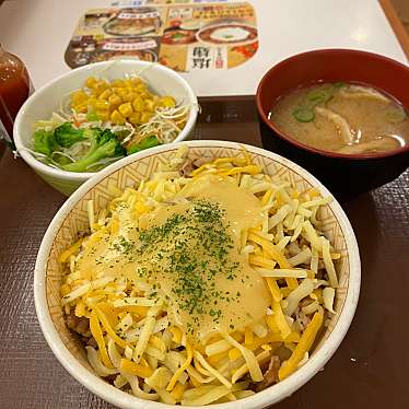 実際訪問したユーザーが直接撮影して投稿した中小口牛丼すき家 41号大口店の写真