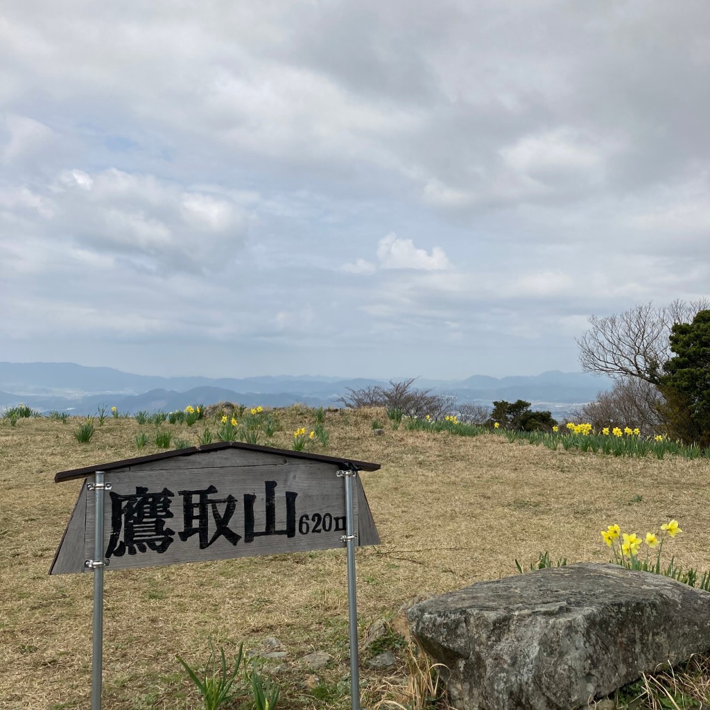 実際訪問したユーザーが直接撮影して投稿した山 / 峠鷹取山の写真