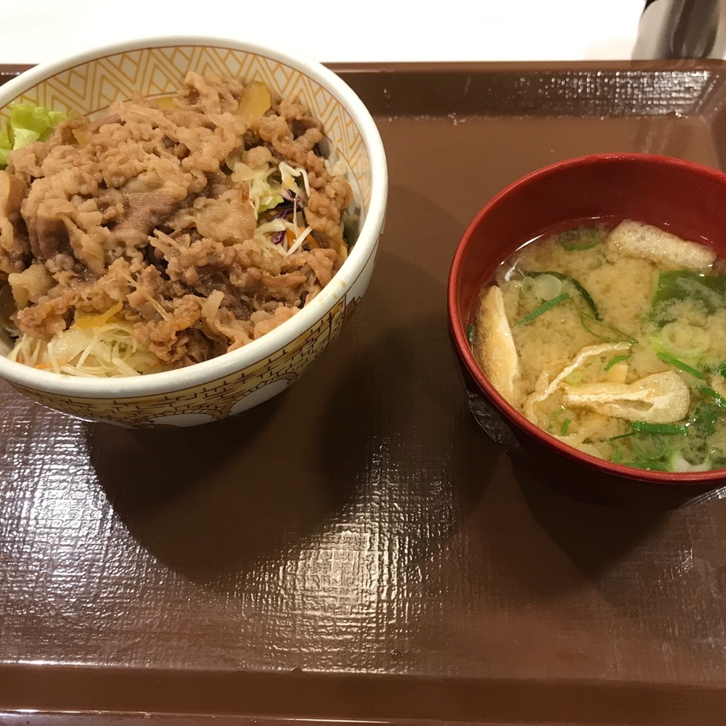 ユーザーが投稿した牛丼ライト並・みそ汁の写真 - 実際訪問したユーザーが直接撮影して投稿した豊科南穂高牛丼すき家 安曇野IC店の写真