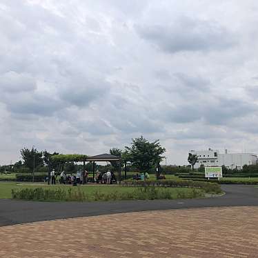 実際訪問したユーザーが直接撮影して投稿した美女木公園荒川水循環センター上部公園の写真