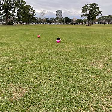 宮崎県総合文化公園のundefinedに実際訪問訪問したユーザーunknownさんが新しく投稿した新着口コミの写真