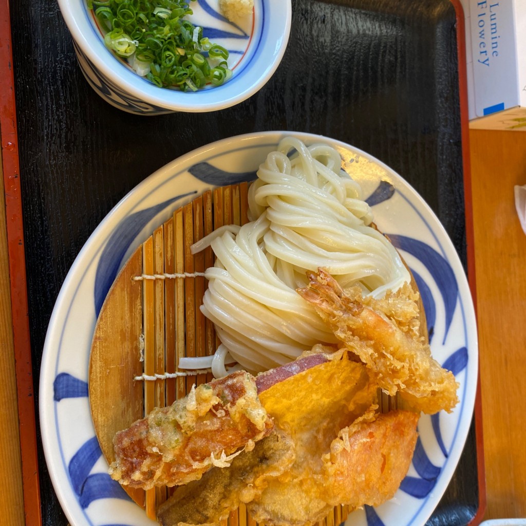 ユーザーが投稿した天ぷらざるうどんの写真 - 実際訪問したユーザーが直接撮影して投稿した赤崎町うどんかの家の写真