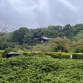 実際訪問したユーザーが直接撮影して投稿した勧修寺仁王堂町寺勧修寺の写真