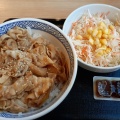 豚丼 - 実際訪問したユーザーが直接撮影して投稿した南牛丼吉野家 牛久南店の写真のメニュー情報