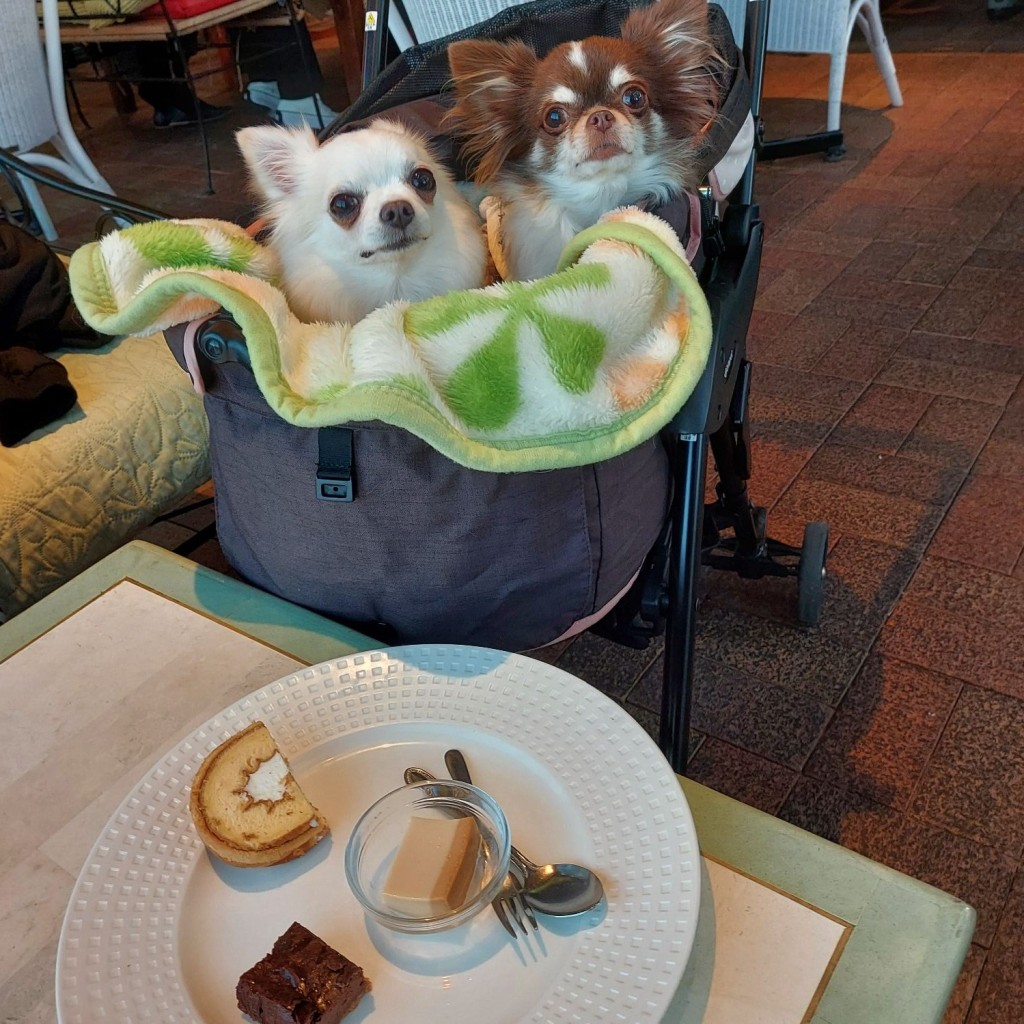 JJmamaさんが投稿した竹の山カフェのお店BRIT BOWL/ブリット ボウルの写真