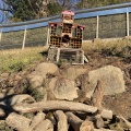 実際訪問したユーザーが直接撮影して投稿した薬師台動物園町田リス園の写真