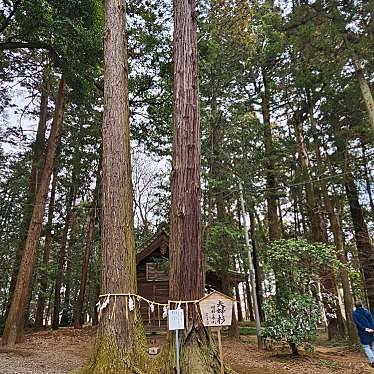 間々田八幡宮のundefinedに実際訪問訪問したユーザーunknownさんが新しく投稿した新着口コミの写真