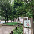 実際訪問したユーザーが直接撮影して投稿した新宿公園花園公園の写真