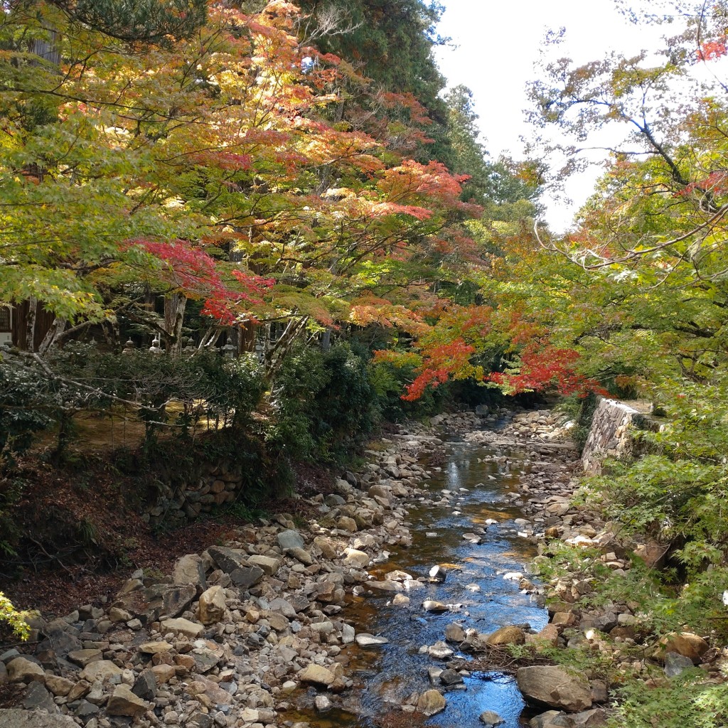 実際訪問したユーザーが直接撮影して投稿した高坂町許山寺佛通寺の写真
