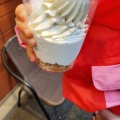 クレミアソフトクリーム - 実際訪問したユーザーが直接撮影して投稿した湊町カフェLe Premier Cafe Roastryの写真のメニュー情報