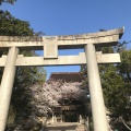 実際訪問したユーザーが直接撮影して投稿した香椎神社香椎宮の写真