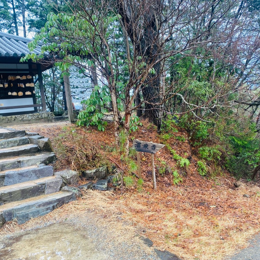 実際訪問したユーザーが直接撮影して投稿した城崎町湯島寺温泉寺の写真