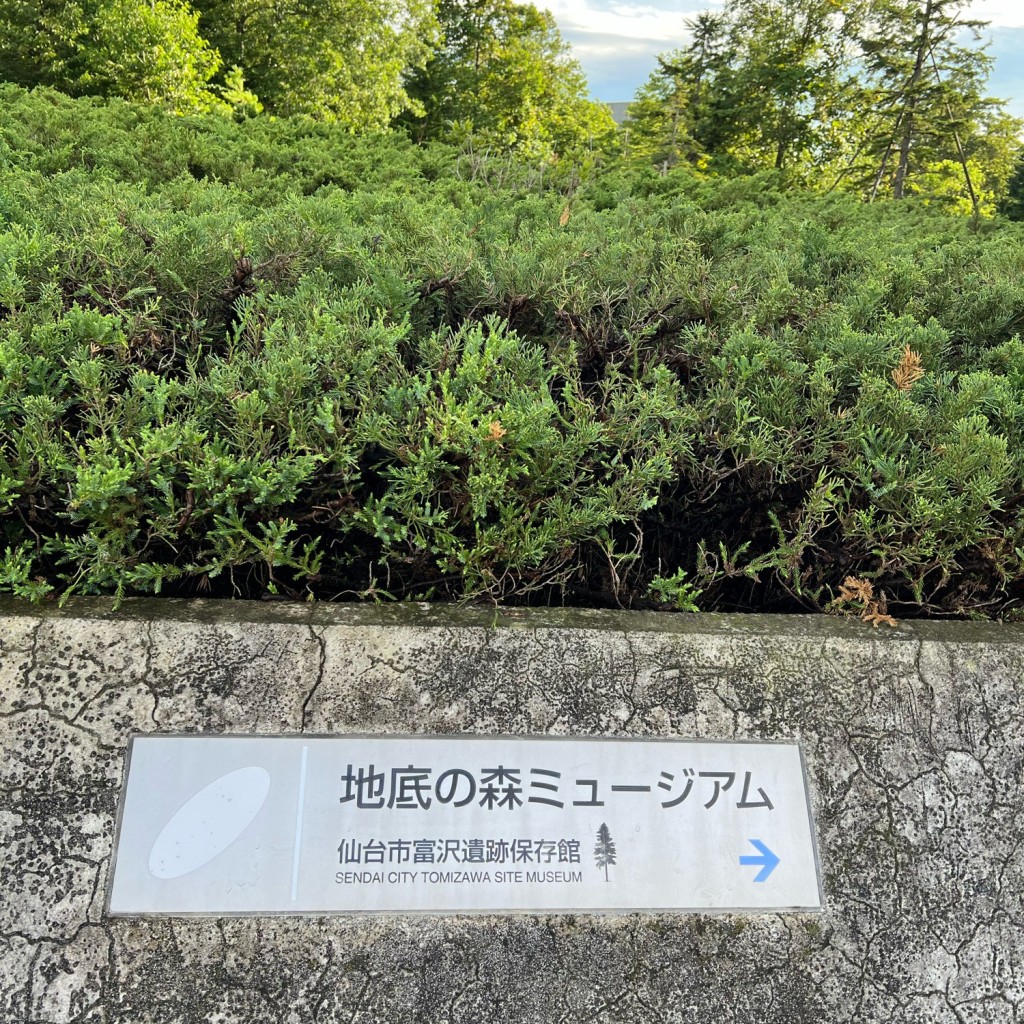 実際訪問したユーザーが直接撮影して投稿した長町南資料館地底の森ミュージアムの写真