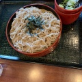 ざるそば - 実際訪問したユーザーが直接撮影して投稿した小松和食 / 日本料理まるまつ 矢本店の写真のメニュー情報