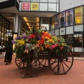 実際訪問したユーザーが直接撮影して投稿した茶屋町ショッピングモール / センターNU chayamachiの写真