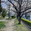 実際訪問したユーザーが直接撮影して投稿した北桜塚公園大曽公園の写真